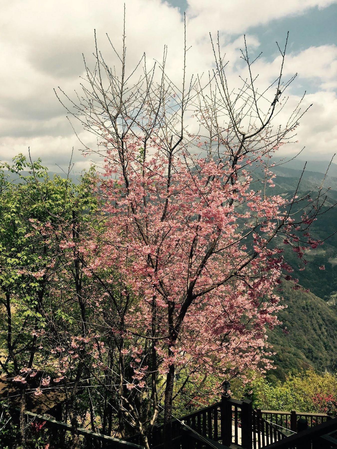Spring Ground Resort Renai Dış mekan fotoğraf